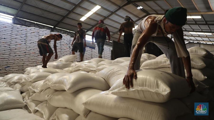 Beras Bulog yang rusak sedang dilelang.