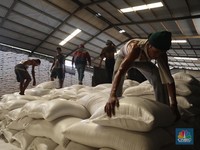 Waduh! 20.000 ton Beras Bulog kok Bisa Rusak?