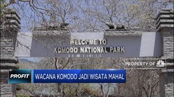 Wacana Pulau Komodo jadi Tempat Wisata Mahal