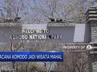 Wacana Pulau Komodo jadi Tempat Wisata Mahal