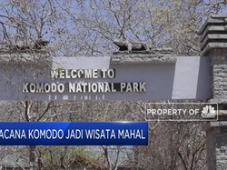 Wacana Pulau Komodo jadi Tempat Wisata Mahal