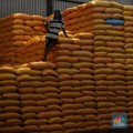 Buwas Klaim Urusan 20 Ribu Ton Beras Rusak Bulog Sudah Beres