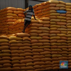 Buwas Klaim Urusan 20 Ribu Ton Beras Rusak Bulog Sudah Beres
