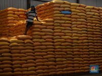 Streaming! 20.000 ton Beras Bulog Rusak, Harus Bagaimana nih?