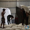 Ternyata Ini Alasan Bulog Enggan Ungkap Asal Beras Impor