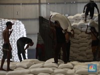 Ternyata Ini Alasan Bulog Enggan Ungkap Asal Beras Impor