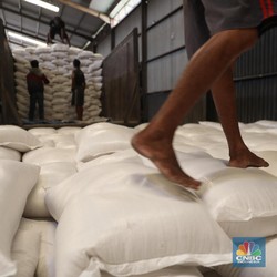20 Ribu Ton Beras Bulog Mau Dimusnahkan, Apa Pemicunya?