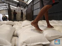 20 Ribu Ton Beras Bulog Mau Dimusnahkan, Apa Pemicunya?
