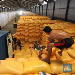 Beras Impor Kuasai Gudang Bulog, Jumlahnya Sampai 52%