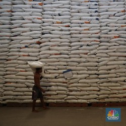 Beras 'Rusak' Bulog Dilelang, 5 Lolos Verifikasi
