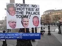 Demo Anti Trump Warnai Hari Jadi NATO ke-70