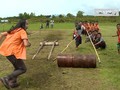 VIDEO: Lomba Dorong Tual Sagu di Tebing Tinggi Timur