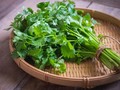 5 Manfaat Daun Ketumbar untuk Kesehatan