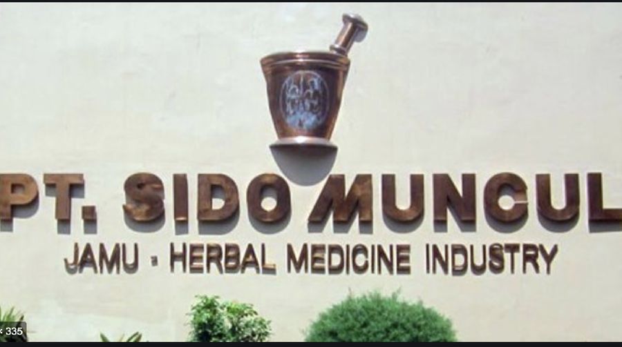 PT Sido Muncul, Sidomuncul, (Sido muncul)