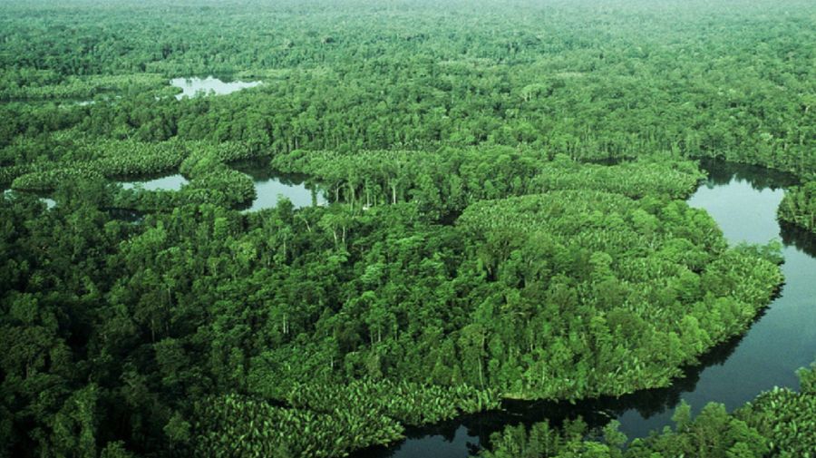 Hari ini Google Doodle rayakan Hari Taman Nasional Lorentz. Taman ini terletak di Papua dan merupakan kawasan taman nasional terluas di kawasan Asia Tenggara.
