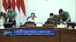 Ini Permasalahan yang Ancam Stok Cadangan Beras Nasional