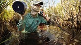 Austin Pezoldt adalah porter yang siap membantu setiap jenis penelitian di Taman Nasional Everglades. (AP Photo/Robert F. Bukaty)