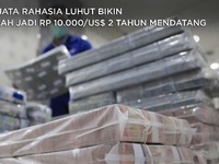 Intip Senjata Rahasia Luhut Bawa Rupiah Jadi Rp 10.000/US$