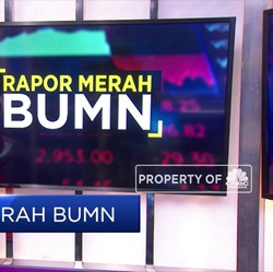 Rapor Merah BUMN