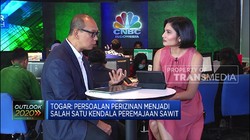 Ada Kendala di Peremajaan Sawit, Ini Penjelasan GAPKI