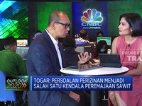 Ada Kendala di Peremajaan Sawit, Ini Penjelasan GAPKI