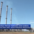Beghh...Harga Minyak Mendaki Jelang KTT OPEC