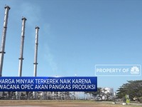 Beghh...Harga Minyak Mendaki Jelang KTT OPEC