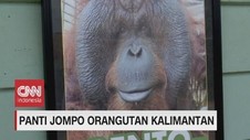 VIDEO: Panti Jompo Orangutan Kalimantan