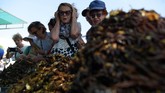 Masyarakat Kamboja telah berburu tarantula sebagai camilan dan obat tradisional sejak lama. Namun, di bawah rezim Khmer Merah pada 1970-an, kelaparan membuat konsumsi tarantula menjadi satu-satunya pilihan yang tersedia. (Photo by TANG CHHIN Sothy / AFP)