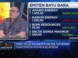 Investasi ke Industri Listrik, Diversifikasi Bisnis TOBA