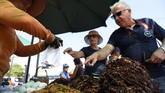 Yee Thon, seorang warga Kamboja berusia 65 tahun, mengenang masa-masa itu. Thon biasanya membungkus tarantula dengan daun pisang untuk kemudian dipanggang. (Photo by TANG CHHIN Sothy / AFP)