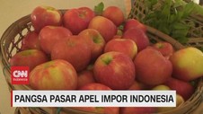 VIDEO: Melihat Pangsa Pasar Apel Impor Indonesia