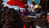 Sejak awal 1990-an, Kamboja telah kehilangan 20 persen lahan hutannya yang menjadi tempat tinggal tarantula. (Photo by TANG CHHIN Sothy / AFP)