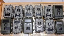 Polisi Ciduk Pencuri 13 Kamera Pemantau Harimau Sumatera