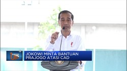 Jokowi Minta Bantuan Orang Terkaya Atasi CAD