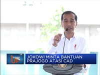 Jokowi Minta Bantuan Orang Terkaya Atasi CAD