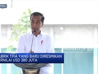 Gembiranya Jokowi Ada Pabrik Baru Produksi Bahan Kimia