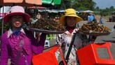 Di Kamboja, dengan kocek sebesar 2 ribu riel atau setara dengan Rp6.900, Anda bisa mendapatkan kenikmatan dari renyahnya daging tarantula. (Photo by TANG CHHIN Sothy / AFP)