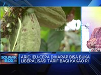 Askindo Harap Perjanjian IEU-CEPA Dorong Pasar Kakao di Eropa