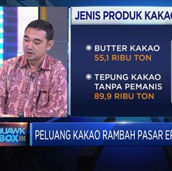 Upaya Askindo Integrasikan Sektor Hulu & Hilir Industri Kakao