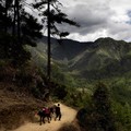 Waduh, China 'Diam-Diam' Caplok Wilayah Negara Ini