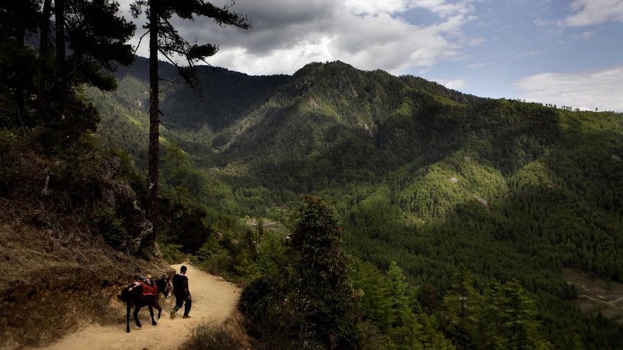 In this photo taken Friday, April 30, 2010, a Bhutanese man walks with his donkey from the Taktsang Monastery, also known as the Tiger's Nest, outside Paro, Bhutan, Friday, April 30, 2010. The Tiger's Nest, built in 1692, is one of the most prominent Tibetan Buddhist monastery in the South Asian nation.(AP Photo/Manish Swarup)