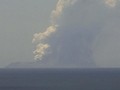 Gunung Berapi di Selandia Baru Meletus, Satu Orang Kritis