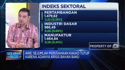 Dear Pemerintah, Ini Daftar Harapan Industri Kakao RI