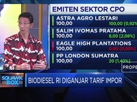 Ukur Dampak Pengenaan Tarif Impor Bagi CPO RI Oleh Uni Eropa