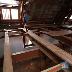 RI Punya 5 Kayu Paling Diburu Dunia, Harganya Tembus Ratusan Juta