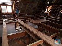 RI Punya 5 Kayu Paling Diburu Dunia, Harganya Tembus Ratusan Juta