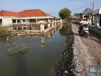 Duh! Abrasi 15 Tahun Buat Kampung di Bekasi ini Ditinggalkan