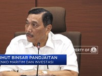 Luhut: Pertamina Adalah Sumber Kekacauan, Ahok Obatnya