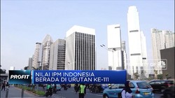 1990-2018, Nilai IPM Indonesia Melesat 34,6%